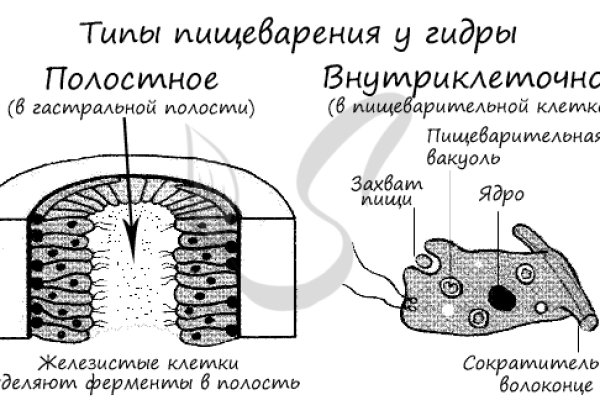 Войти на кракен