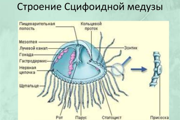 Как зайти на кракен через браузер