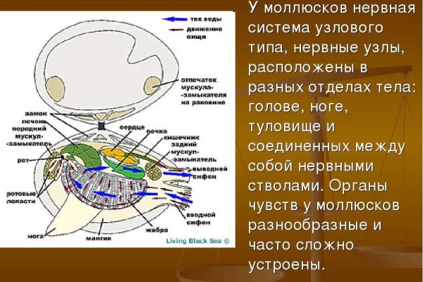 Ссылка на кракен в тор браузере kr2web in